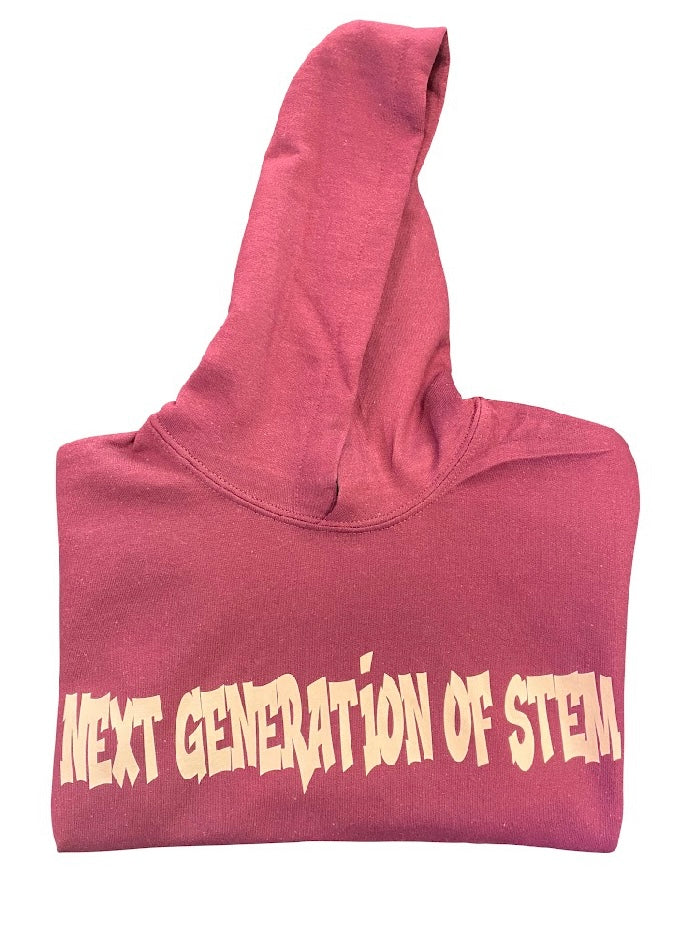 Next Generation of STEM